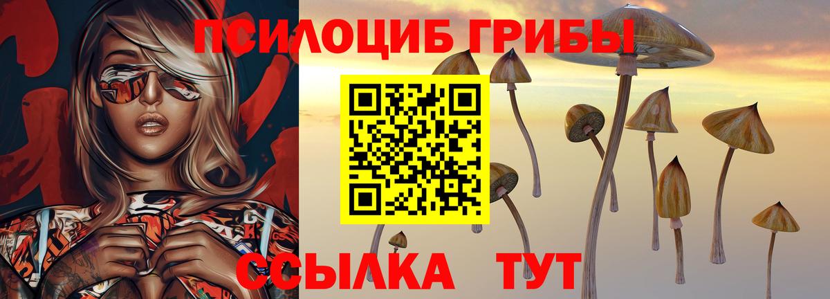 Галлюциногенные грибы ЛСД Сальск